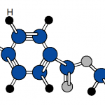Polyethylene Terephthalate (PET)